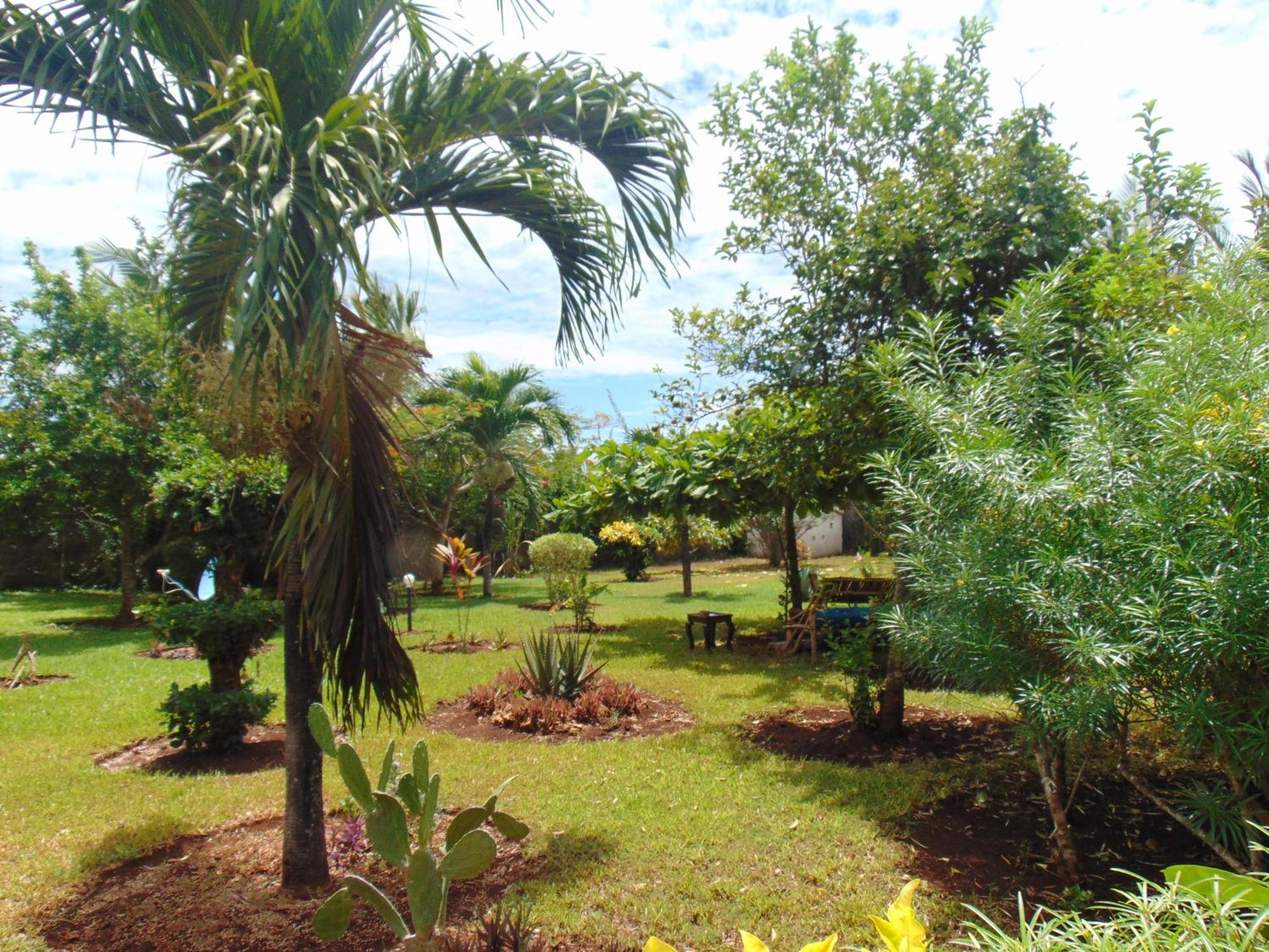 Villas Dora And Holly Diani Beach Ngoại thất bức ảnh